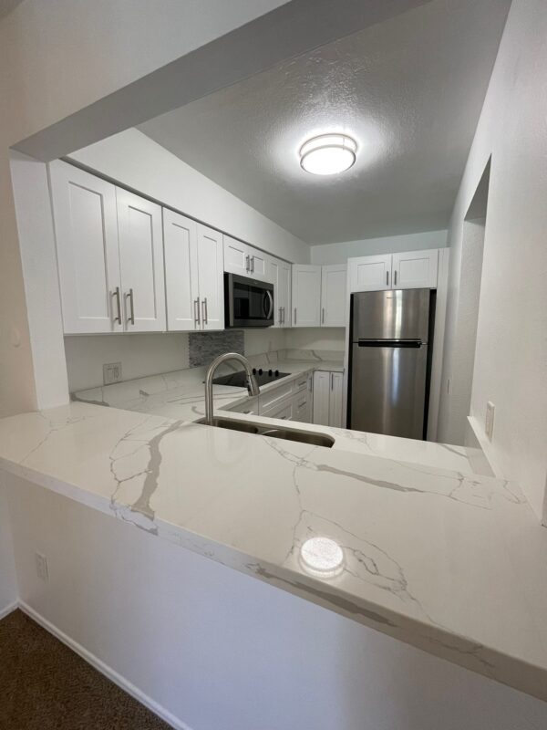 calacatta-rio-countertop -quartz