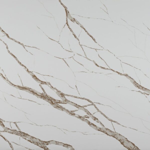 Sahara gold 1 2 scaled 600x600