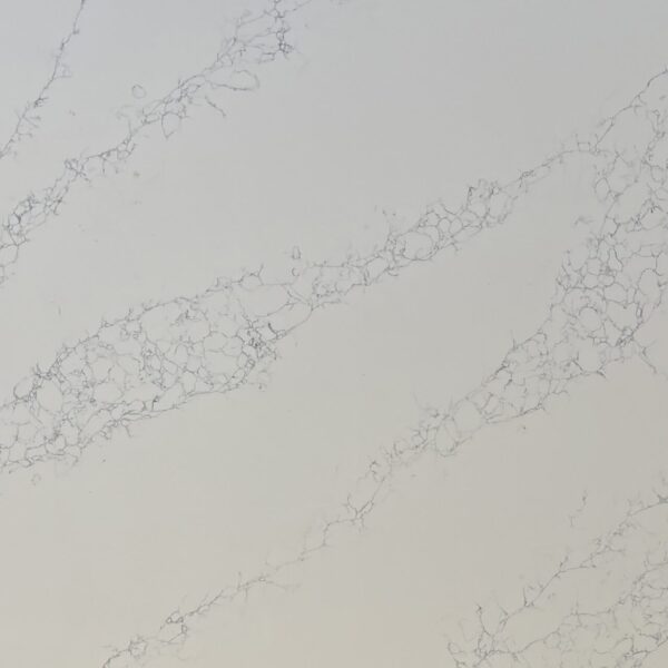 Silver Birch