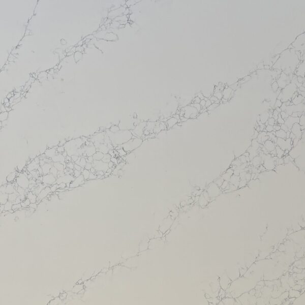 Silver birch scaled 600x600