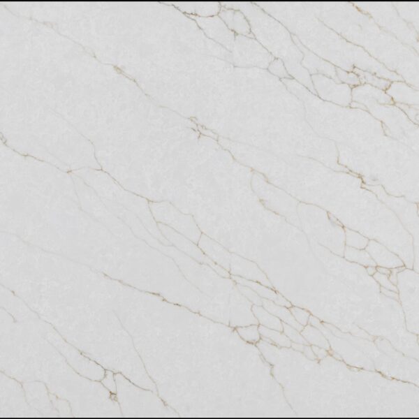 Venation oro 1 scaled 600x600